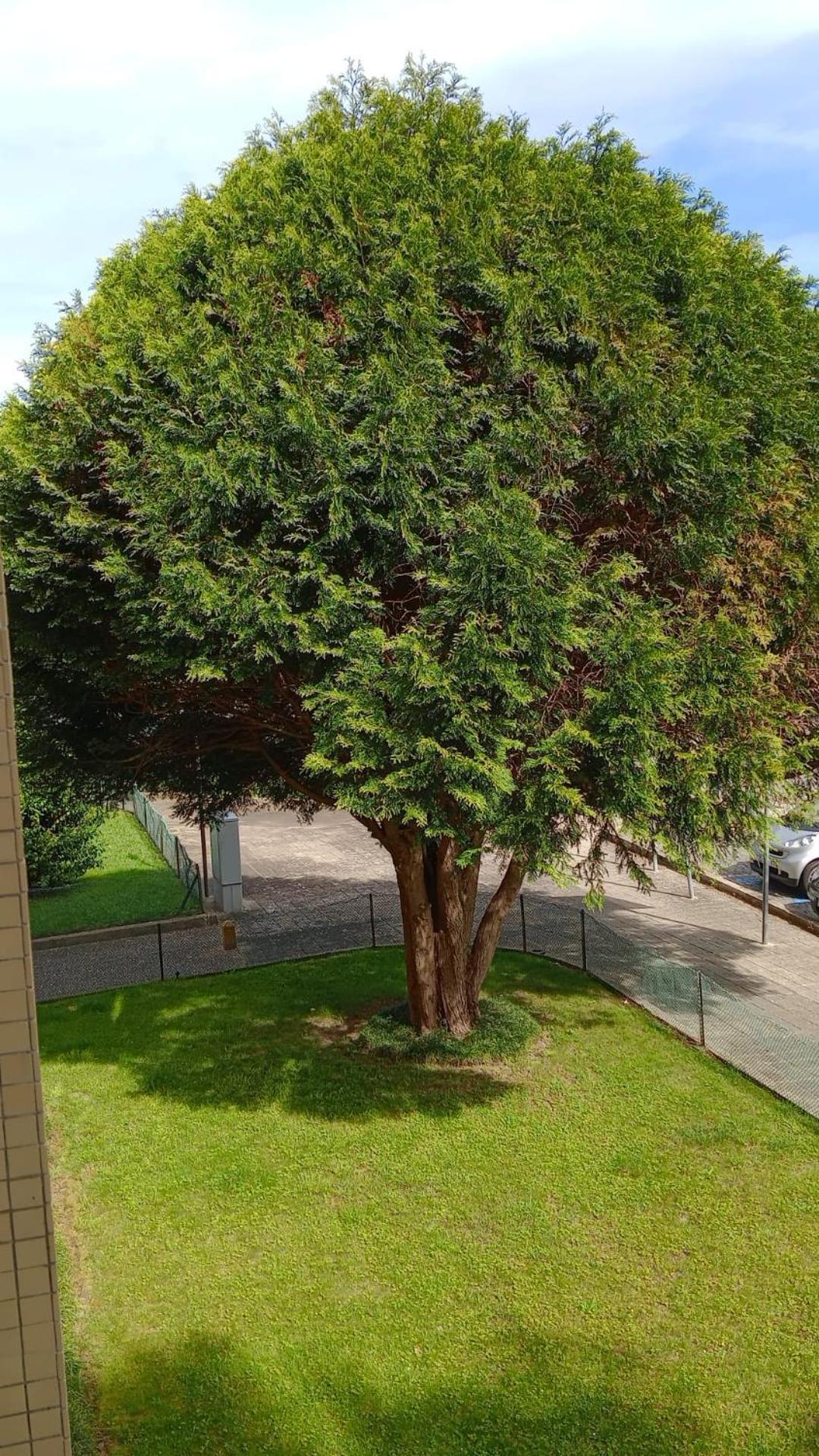 Appartement Praceta à OOporto Extérieur photo